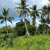 50*100 plots for sale in Diani thumb 0
