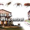 Cockroaches/ Pests/ Bed Bugs/ Fleas/ Ticks/ Mites Fumigation thumb 1