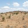 Land at Amboseli Road thumb 2