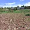 40X80ft PLOT FOR SALE AT KENOL. 100MTRS FROM HIGHWAY thumb 0