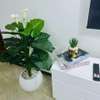 Serviced 2 Bed Apartment with En Suite in Dennis Pritt thumb 7