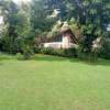 0.8 ac Land in Westlands Area thumb 0