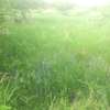 Over 500 Acres Land Available For Lease in Kiboko Makindu thumb 4