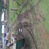 PRIME PLOT IN HOMA BAY TOWN thumb 5