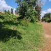 50 by 200 plot for sale in Kitisuru thumb 1