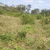 730 Acres On Athi River Are Available For Lease in Kibwezi thumb 3