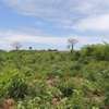1,012 m² Residential Land at Diani Beach Road thumb 10