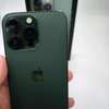 Apple Iphone 13 Pro Max 1Tb Green thumb 2