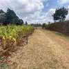 500 m² commercial land for sale in Kikuyu Town thumb 3
