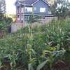 Beautiful one eighth plots in Ngong thumb 6
