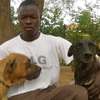 Dog training in Nairobi thumb 4