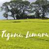 20 ac Land at Riara Ridge thumb 5