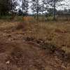 40*80ft plots for sale at Kenol town in Muranga county thumb 1