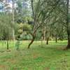 2 ac Residential Land at Old Muthaiga - Off Muthaiga Road thumb 2