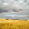 Affordable Plots in THIKA-MUTHARAA. thumb 9