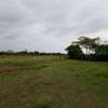 Tarmac plot at Mwariki C, Nakuru-Mutaita bypass thumb 2