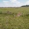 2.5 Acres of Land in Ruiru - Behind Spur Mall & NIBS Collage thumb 6