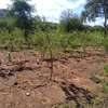 2 acres available in Tharaka constituency Marimanti location thumb 2