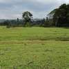 21 ac Land at Kiambu Road thumb 4