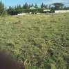 Lovely One Eighth Plots in Ongata Rongai thumb 7
