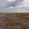 50 by 100 and 1 Acres in Nanyuki thumb 6