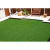 Affordable Grass Carpets -12 thumb 1