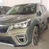 Subaru Forester E-boxer Green 2019 thumb 1