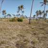 50-Acre Beach Plot For Sale in Bofa/Kilifi thumb 4