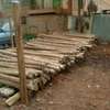 Well treated fencing posts - 9ft,8ft thumb 1
