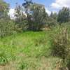 Residential Land at Karuri thumb 9