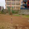 Land for sale in ngoingwa,thika thumb 2
