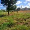 Mtwapa garden 1/2 acre plot thumb 1