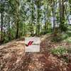 7.9 ac Land in Rosslyn thumb 9
