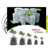 Biodegradable Planting/Nursery Bags thumb 2