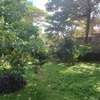 Commercial Property with Garden in Lavington thumb 2