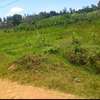 A Half Acre plot for sale at Clay City, Kasarani thumb 2