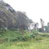 Residential Land at Kitisuru Ridge 44 thumb 19
