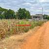 0.125 ac Residential Land in Kamangu thumb 18