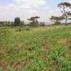 12.5 ac Residential Land in Ngong thumb 0