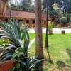 2 Bed House with En Suite in Runda thumb 10