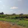 Land at Riabai -Githunguri Road 3Km From Kirigiti thumb 1