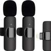 Dual Wireless Microphones for iPhone/Android Phone thumb 2