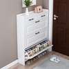 Modern Shoe Storage Cabinet thumb 5
