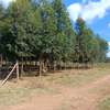 1/4 plot for sale at Limuru Ndeiya 100m from tarmac. thumb 7