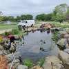 Bestcare Pond Maintenance & Cleaning Services– Nairobi thumb 2