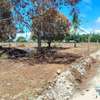 Residential Land in Malindi thumb 7