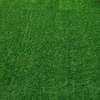 Artificial Grass Carpet Quality & Beautiful thumb 3
