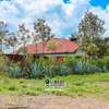 Ruiru Kamakis - Mwalimu Farm thumb 0