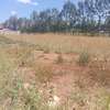 50*100ft plots for sale at Kenol Katipanga in Muranga county thumb 1