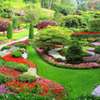 Garden Services Mombasa | Gardening & Maintenance Services.Trusted & Vetted Gardeners thumb 7